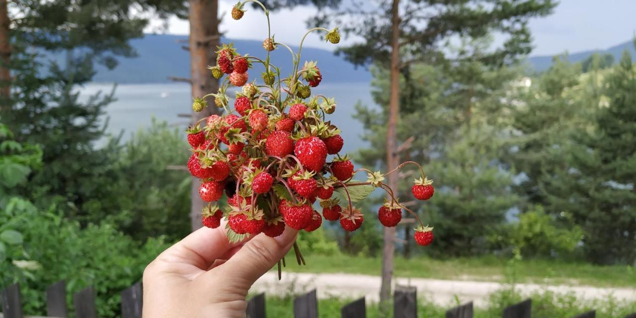 Къща За Гости Сиана โดสปัต ภายนอก รูปภาพ